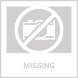 3 Panel Mango Wood Folding Pet Gate strong and durable